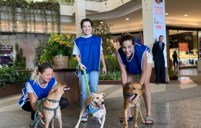Recreio Shopping organiza campanha de adoção de pets