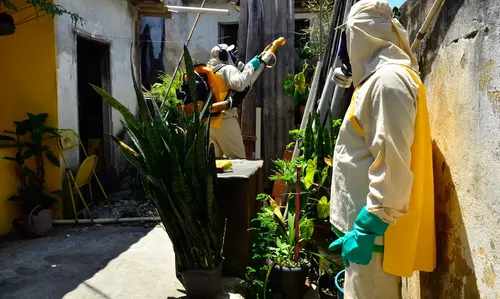 Avanço da dengue está mais lento, mas epidemia ainda é preocupante no Brasil – Brasil de Fato