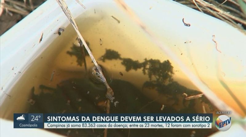 Dengue em Campinas: 52% das mortes são de pacientes infectados com o sorotipo 2; entenda – G1