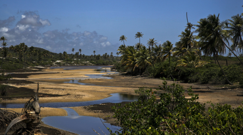 Baixio é Bahia de lagoas de água doce em meio a dunas, coqueirais e o mar