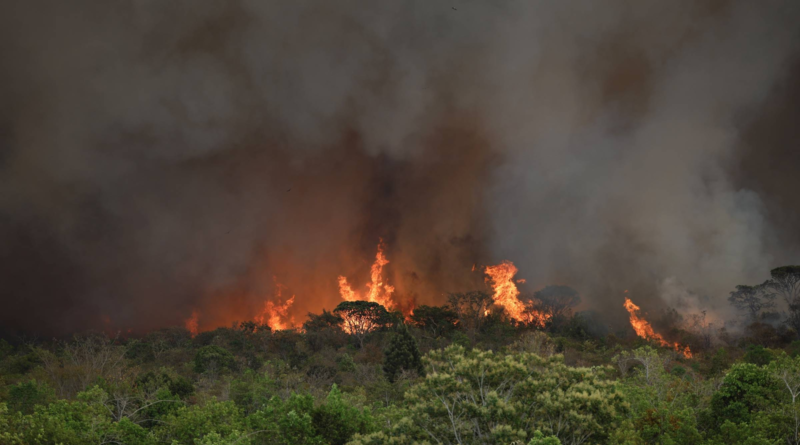 Fumaça no céu, soluções no chão: mercado de carbono precisa voltar à pauta