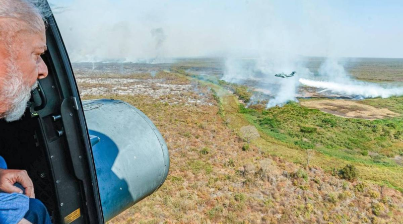 Governo Lula não estava '100% preparado' para incêndios porque vive no mundo da fantasia