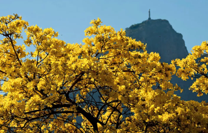 Primavera começa no Rio com altas temperaturas e sem chuvas