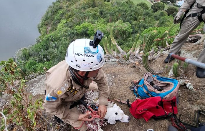 Corpo de Bombeiros resgata cão em Lagoa de Piratininga, em Niterói