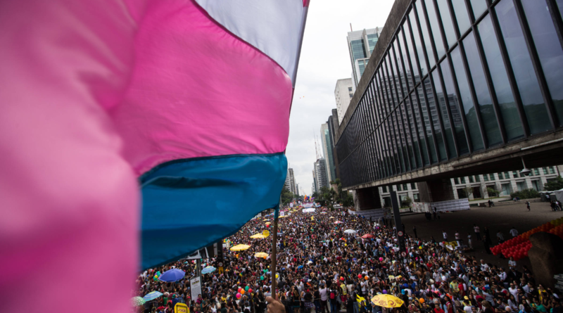 STF confirma decisão que obriga governo a garantir acesso de pessoas transexuais a políticas de saúde