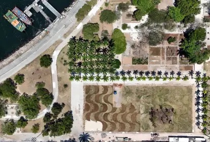 Revitalização do MAM revela jardins escondidos de Burle Marx no Aterro do Flamengo