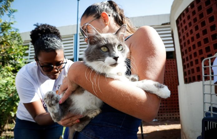 Zona Oeste recebe campanha de vacinação antirrábica para cães e gatos neste sábado