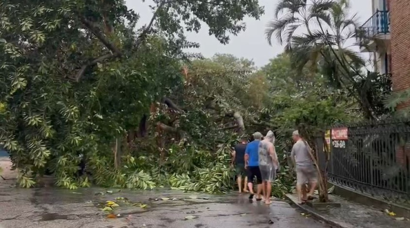 Chuva e vento matam 3, deixam navio à deriva, afetam transportes e derrubam árvores no RJ