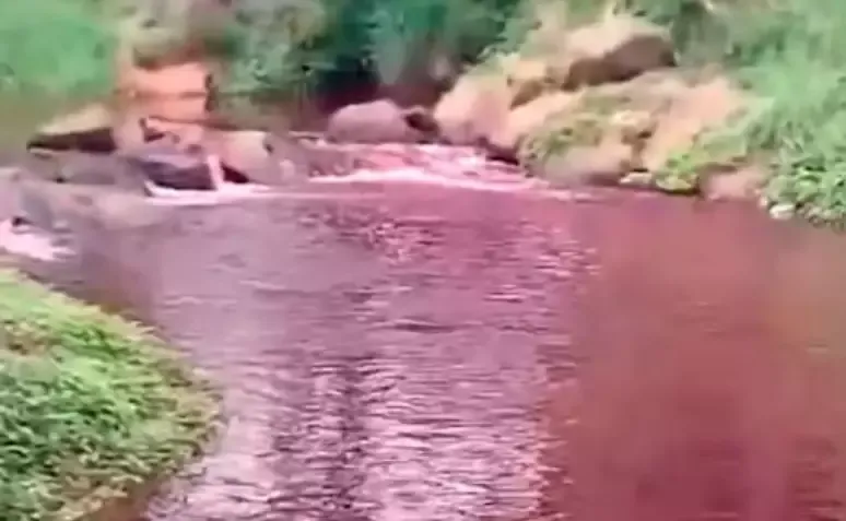 Rio fica vermelho após produto ser despejado em tubulação de água no Paraná